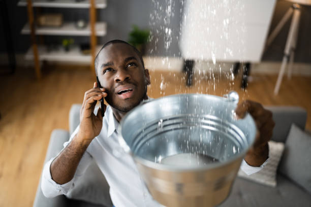Best Ceiling water damage repair  in Galion, OH
