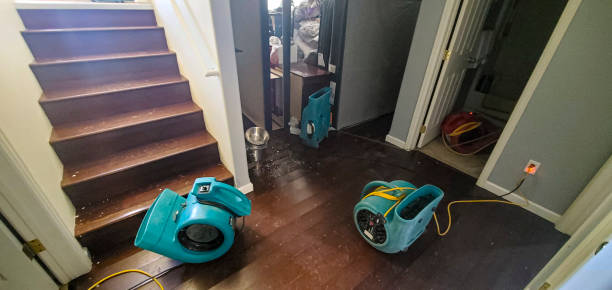 Best Water damage cleanup near me  in Galion, OH