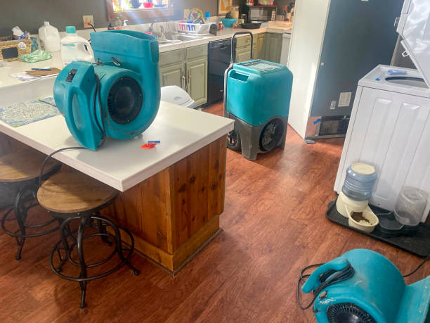 Best Commercial water damage restoration  in Galion, OH