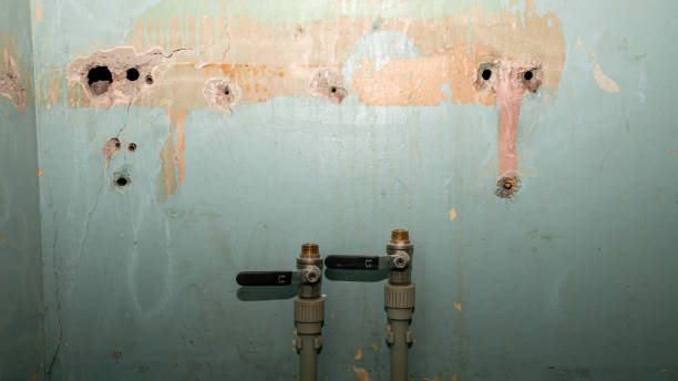 Best Water damage contractors near me  in Galion, OH