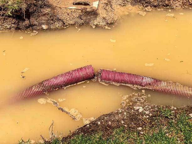 Best Professional water damage repair  in Galion, OH